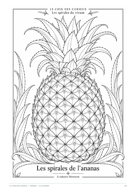 Aperçu noir et blanc du coloriage ananas